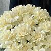 Купить цветы в магазине в городе Москва